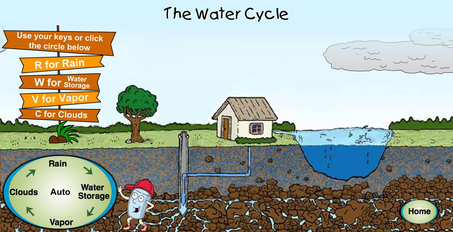 Click here to view water cycle animation