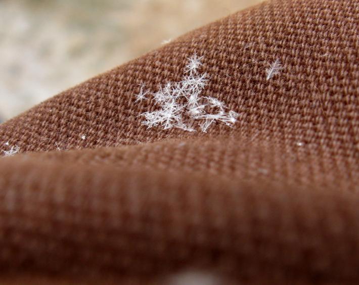 Description: Snowflakes, by Brian Johnson