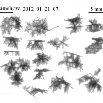 Snowflake images in black and white taken by the Snow Video Imager