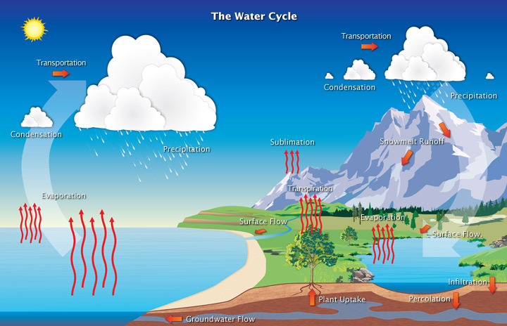 water cycle evaporation assignment
