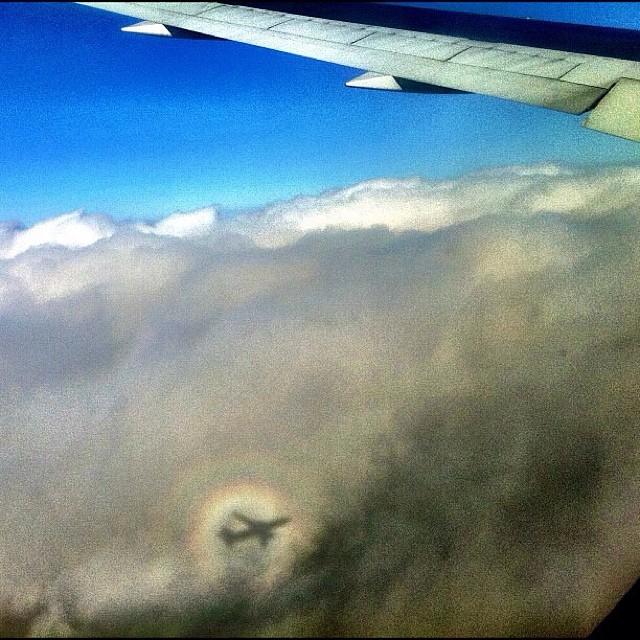 Brocken Spectre from the Air, by Andrew Moore