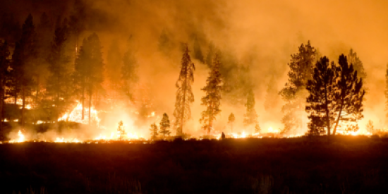 Wildfires in the Western U.S.