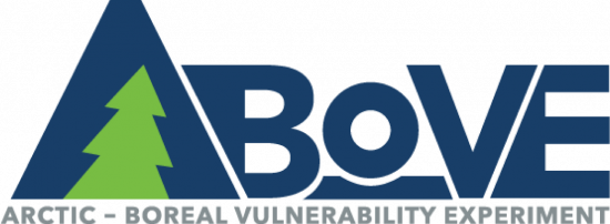 ABOVE logo