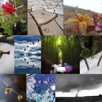 GPM "Signs of Spring" Photo Contest Winners